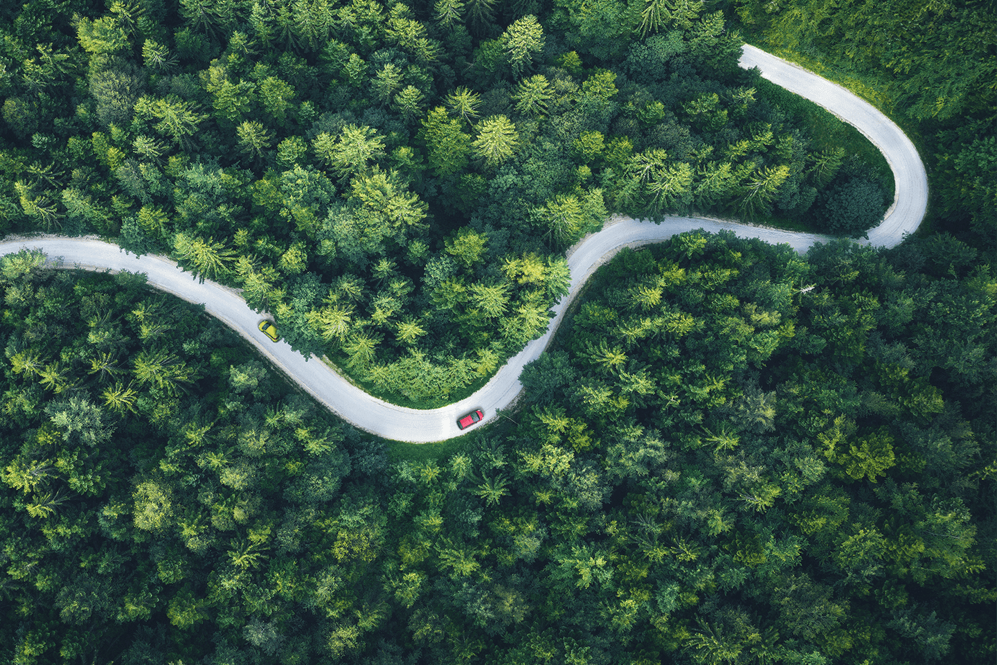Luftaufnahme einer gewundenen Straße durch dichten grünen Wald.