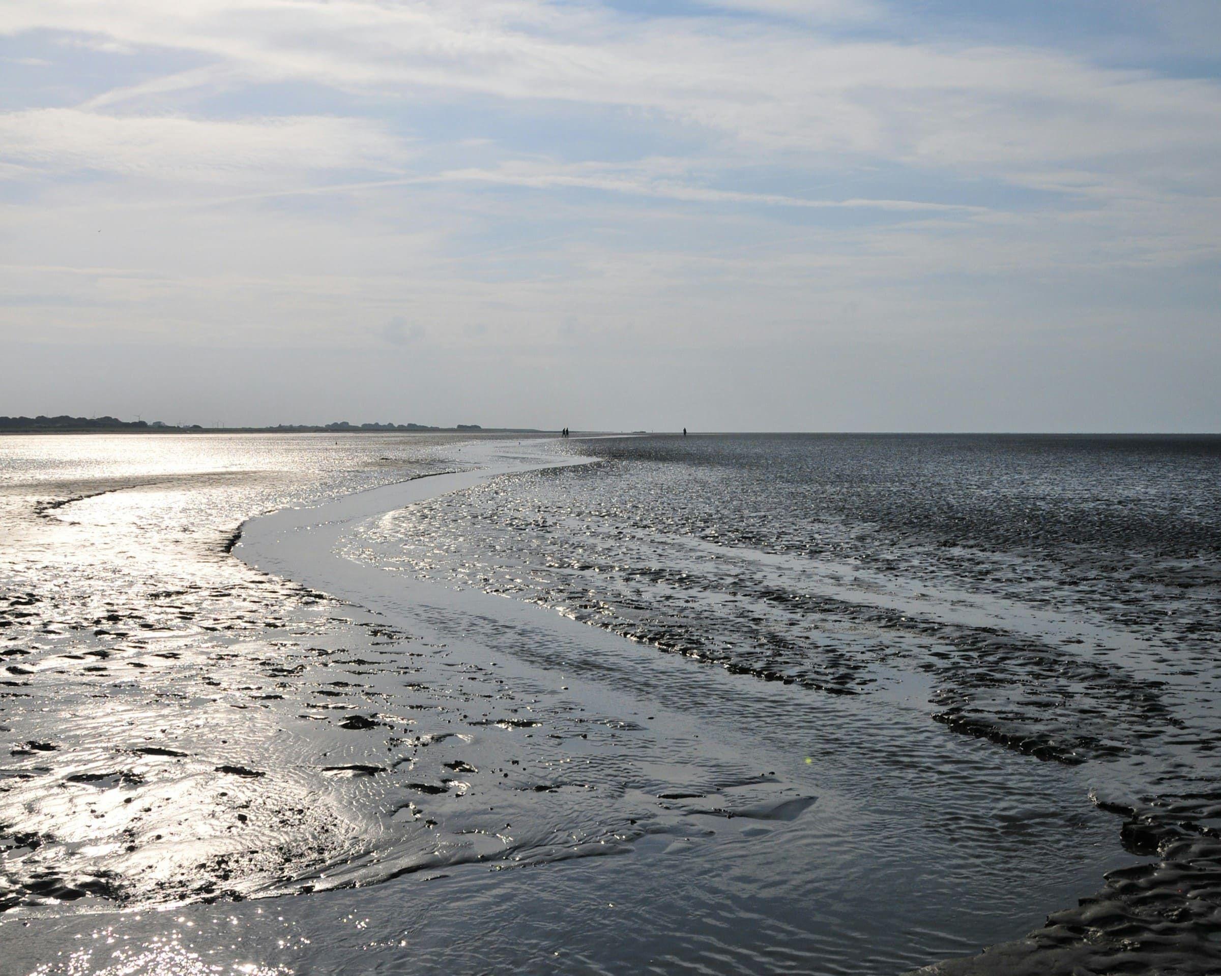 Wattenmeer mit sonnigem Himmel